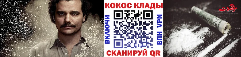где купить наркоту  Киселёвск  KRAKEN как зайти  Cocaine 98% 