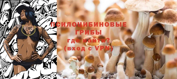 мяу мяу кристалл Богданович